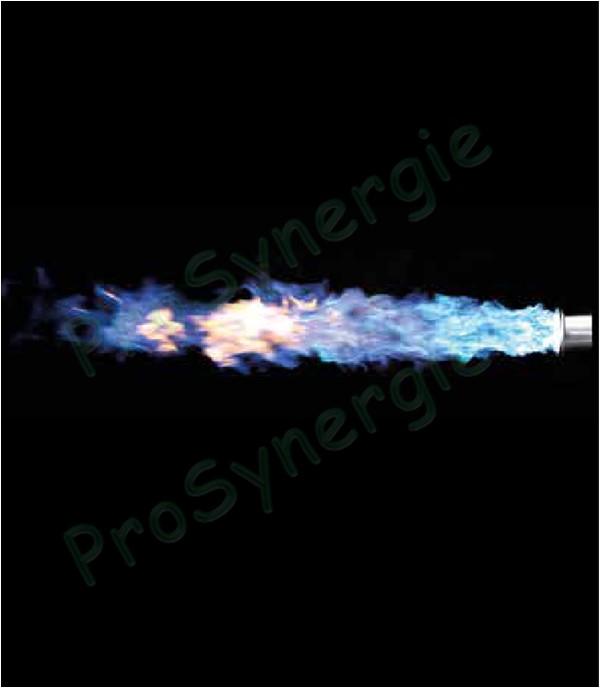 Gamme de Lances et brûleurs Sievert Promatic avec fixation baïonnette